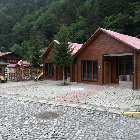 Zeren Apart Bungalov Uzungöl Exteriör bild