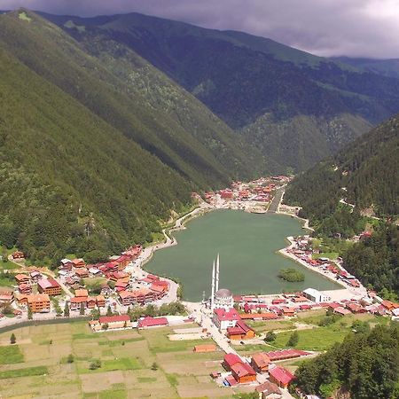 Zeren Apart Bungalov Uzungöl Exteriör bild