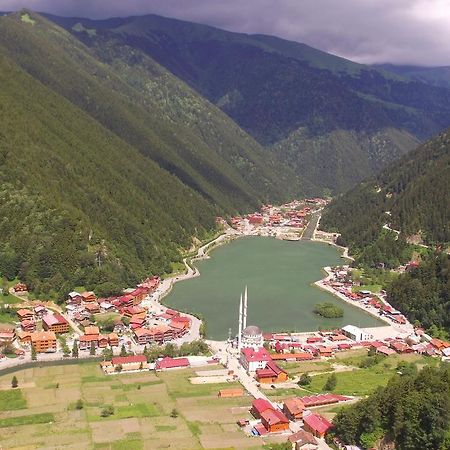 Zeren Bungalov Aparthotel Uzungöl Exteriör bild