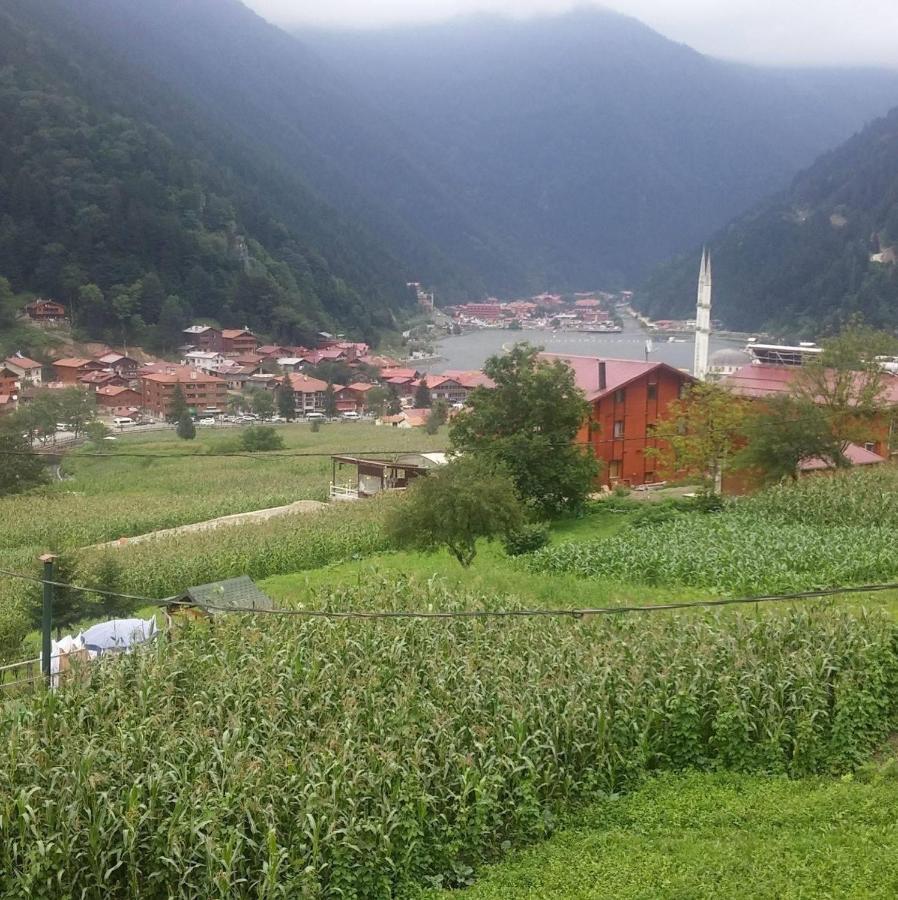 Zeren Bungalov Aparthotel Uzungöl Exteriör bild