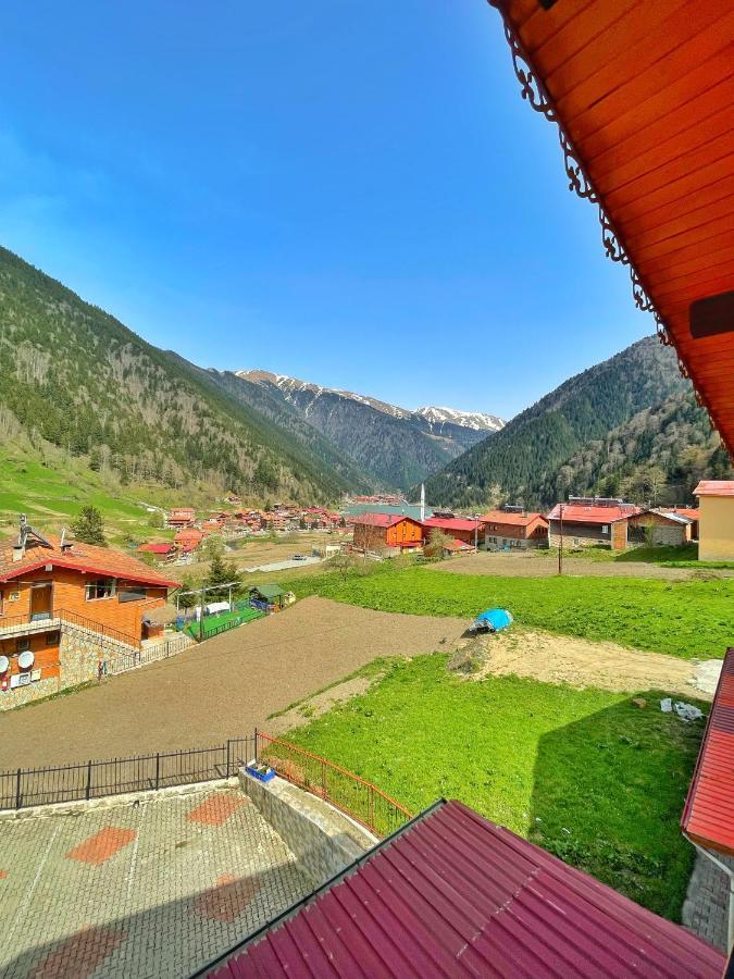 Zeren Bungalov Aparthotel Uzungöl Exteriör bild