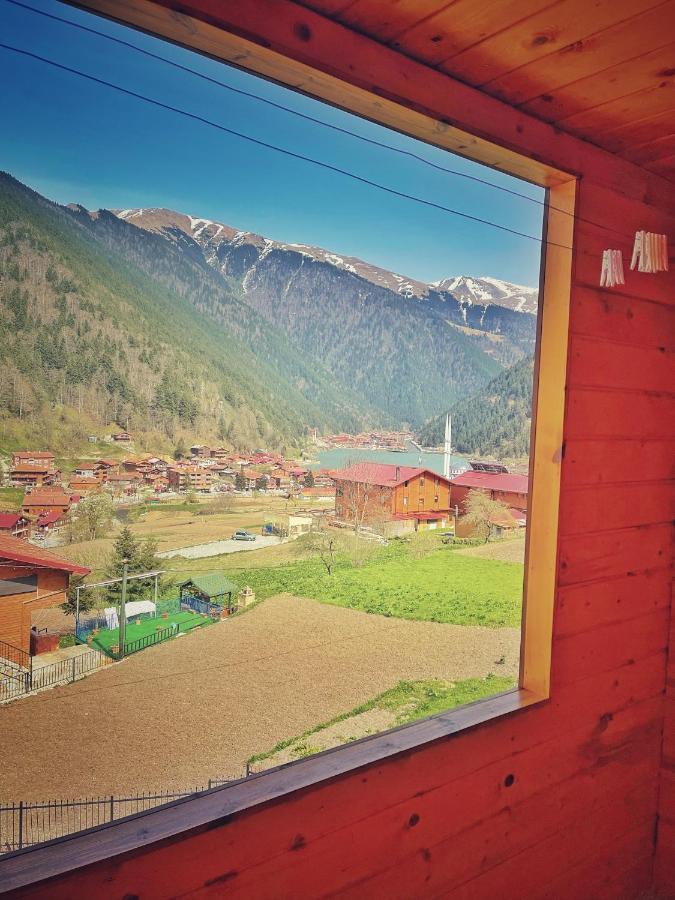 Zeren Bungalov Aparthotel Uzungöl Exteriör bild