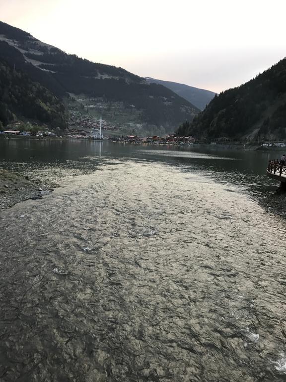 Zeren Bungalov Aparthotel Uzungöl Exteriör bild