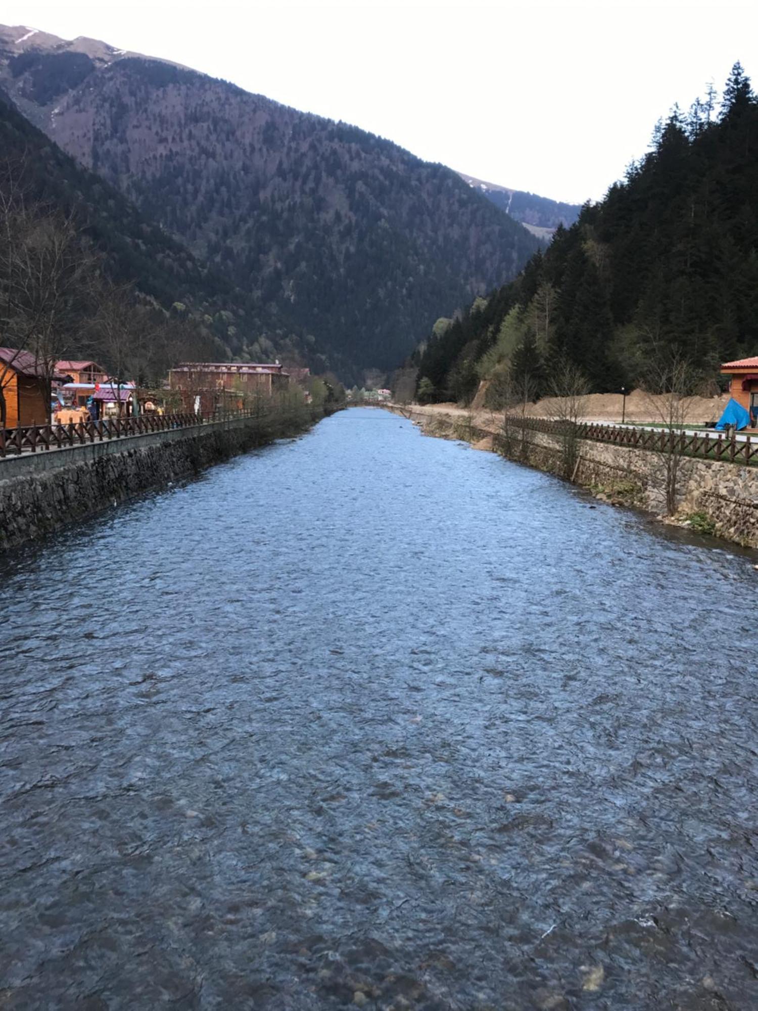 Zeren Apart Bungalov Uzungöl Exteriör bild