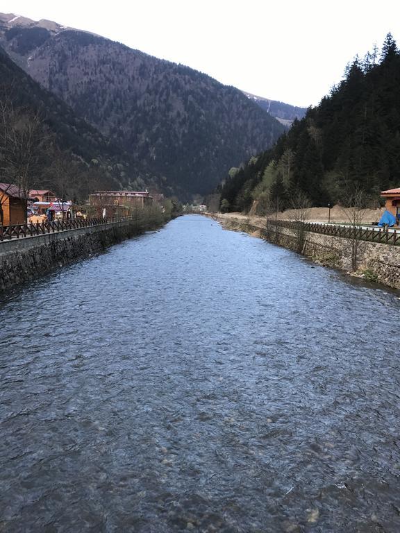 Zeren Bungalov Aparthotel Uzungöl Exteriör bild