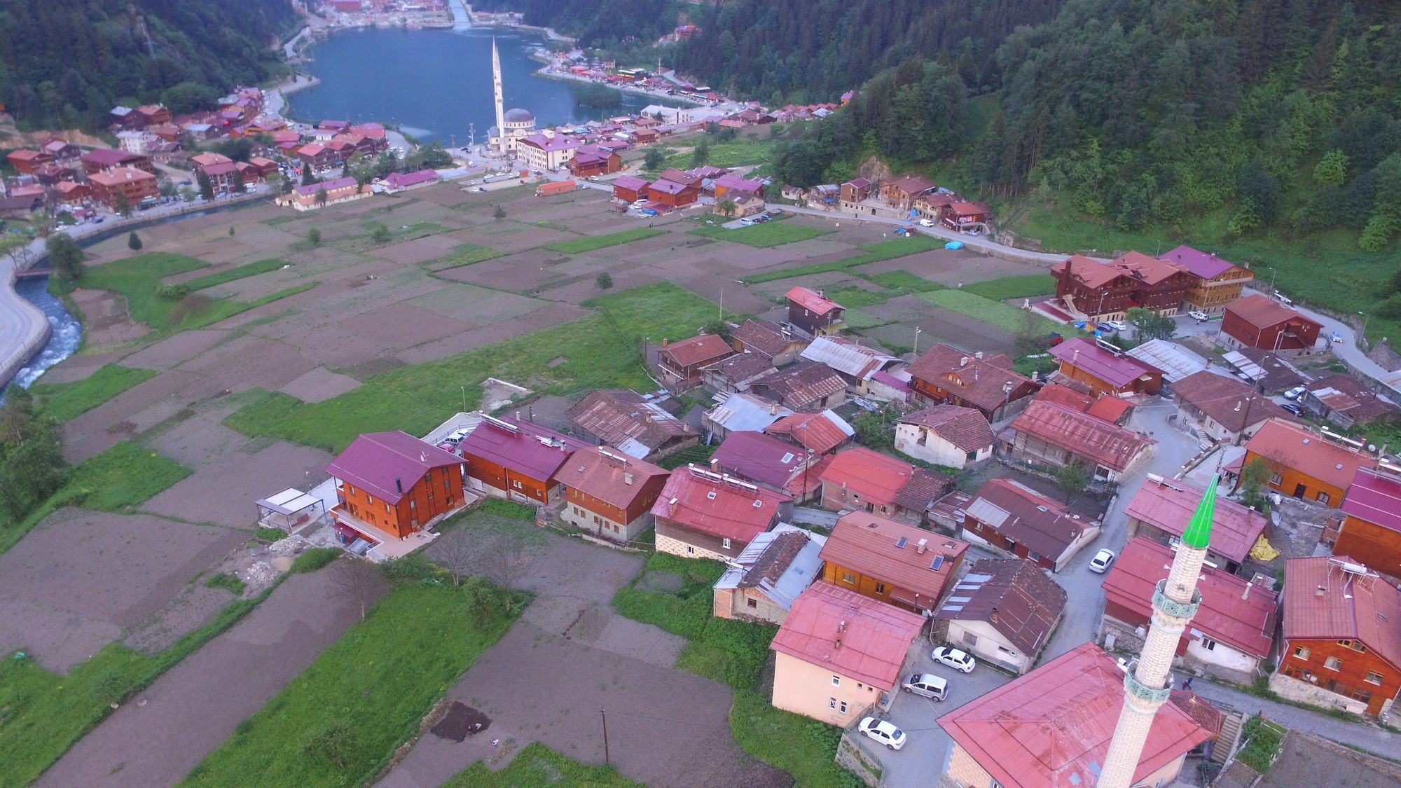 Zeren Apart Bungalov Uzungöl Exteriör bild